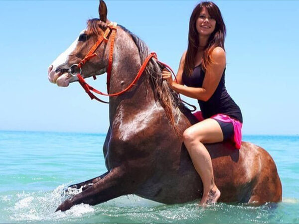 Horseback riding with swimming in the sea