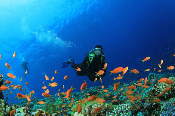 Open water Diver course